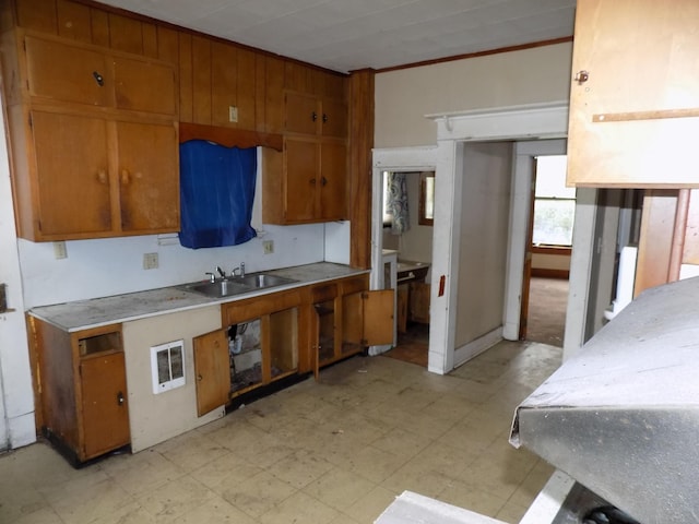 kitchen featuring sink and ornamental molding