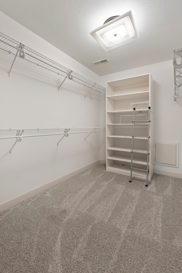 spacious closet featuring carpet floors