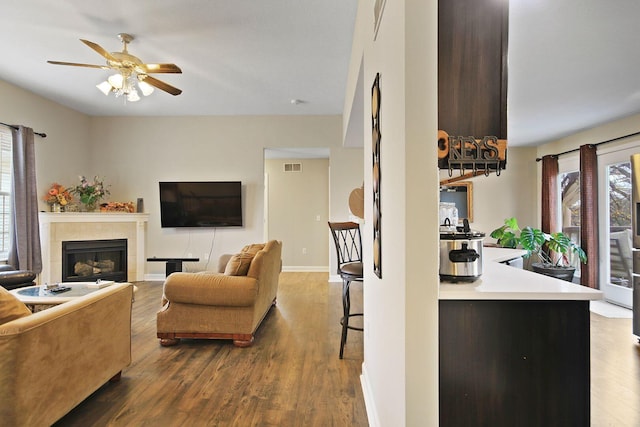 living room with hardwood / wood-style flooring, ceiling fan, plenty of natural light, and a fireplace