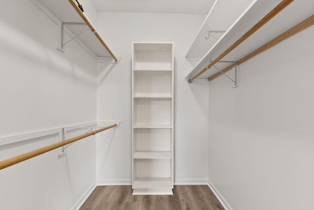 spacious closet featuring dark hardwood / wood-style floors