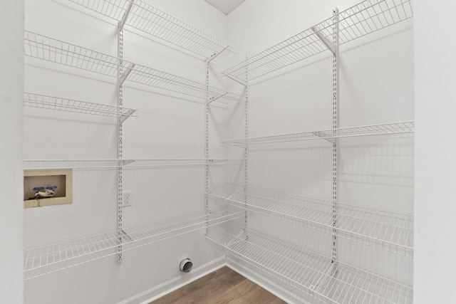 spacious closet featuring wood-type flooring