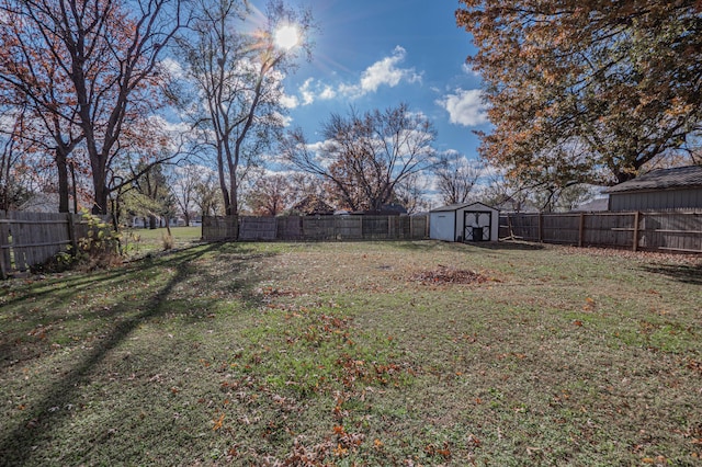 view of yard with a shed