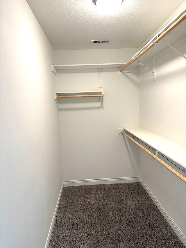 walk in closet featuring carpet