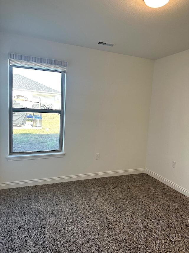 spare room with carpet and a textured ceiling