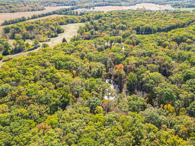 bird's eye view