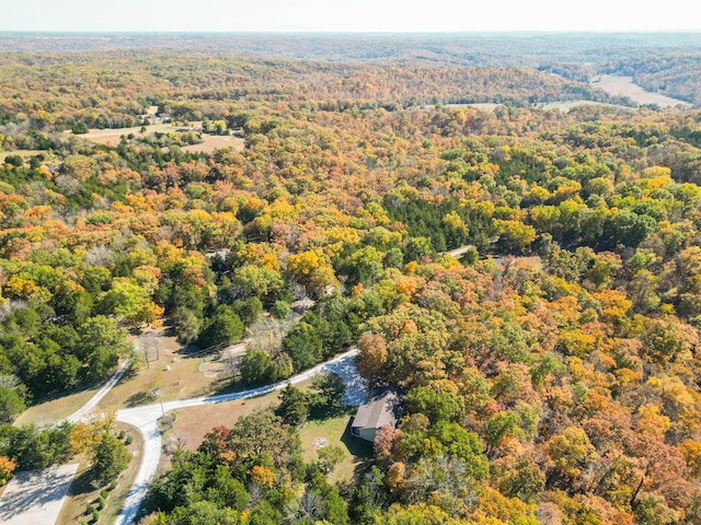 bird's eye view