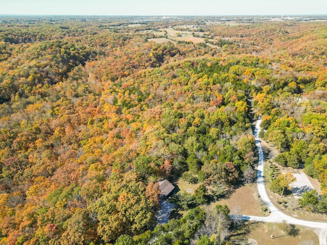 bird's eye view