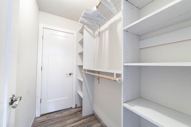 spacious closet with hardwood / wood-style floors