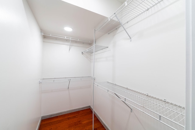 spacious closet featuring dark hardwood / wood-style floors