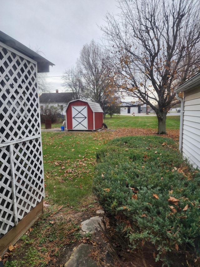 view of yard featuring a storage shed