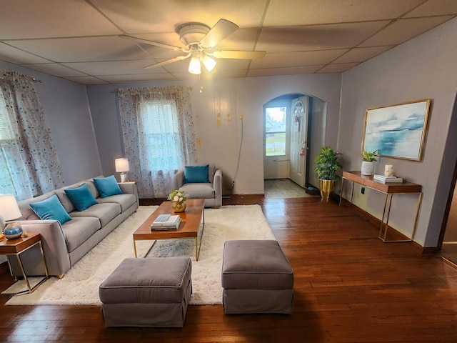 living room featuring ceiling fan, a drop ceiling, and dark wood-type flooring