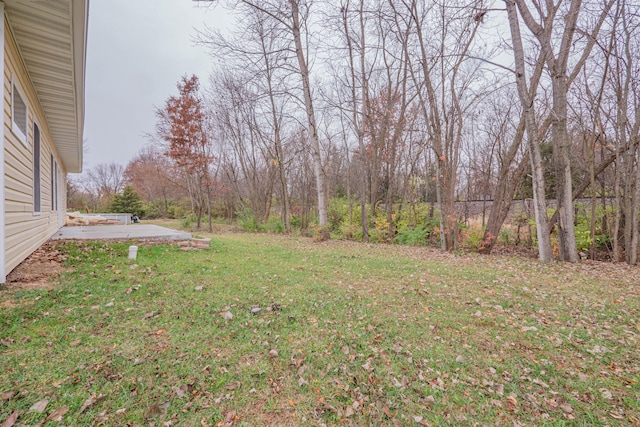 view of yard featuring a patio area