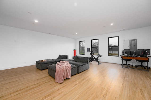 living room with light wood-type flooring