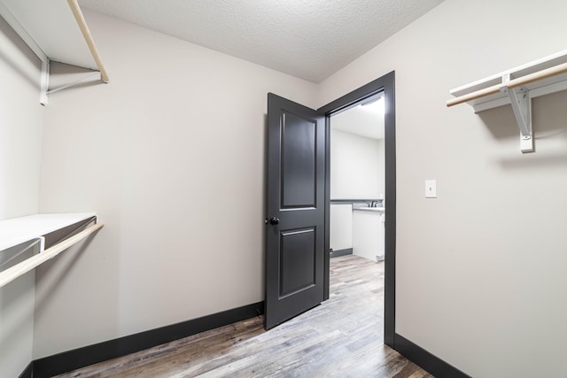 spacious closet with hardwood / wood-style floors