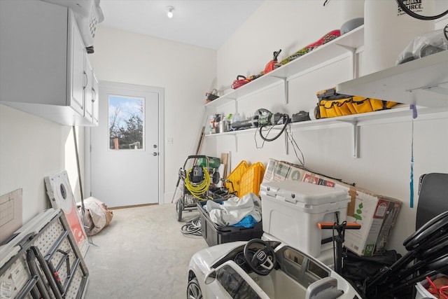 laundry room featuring carpet floors