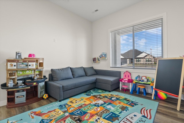 recreation room with wood-type flooring