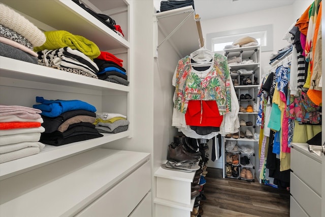 walk in closet featuring dark hardwood / wood-style flooring