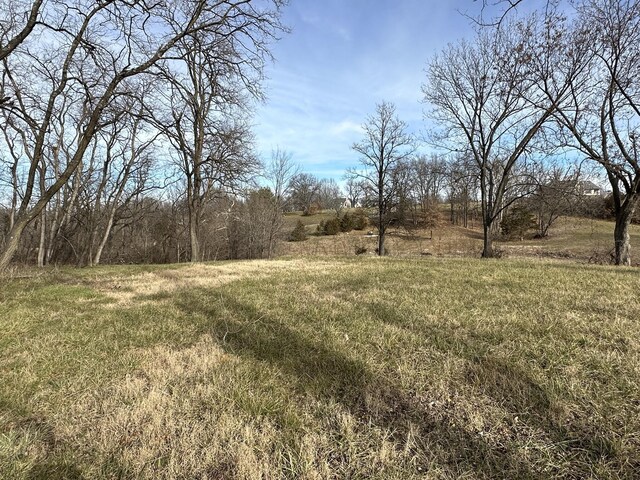 1150 S Uu, Columbia, MO 65203 - photo 8