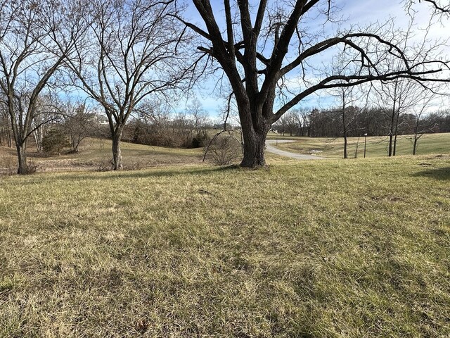 1150 S Uu, Columbia, MO 65203 - photo 9