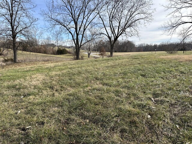1150 S Uu, Columbia, MO 65203 - photo 10
