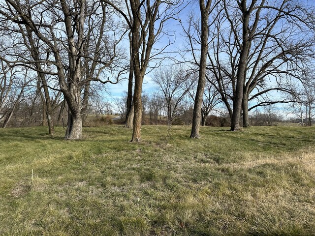 1150 S Uu, Columbia, MO 65203 - photo 11
