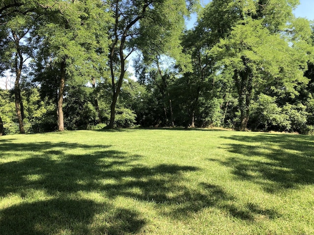 1150 S Uu, Columbia, MO 65203 - photo 1