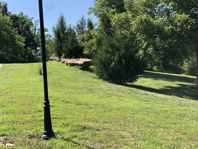1150 S Uu, Columbia, MO 65203 - photo 3