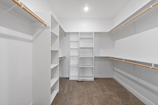 spacious closet featuring dark colored carpet