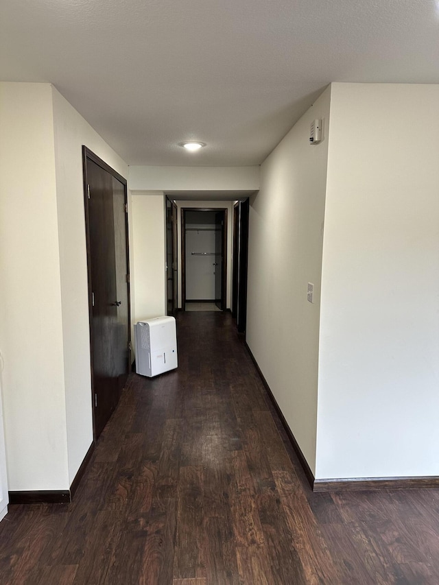 corridor featuring dark hardwood / wood-style flooring