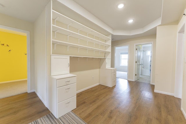 12500 W Rocheport Gravel Rd, Rocheport, MO 65279 - spacious closet with a raised ceiling and light wood-style flooring
