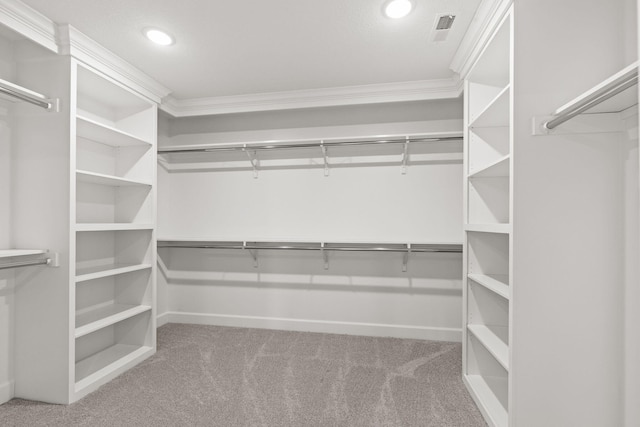 spacious closet with carpet flooring