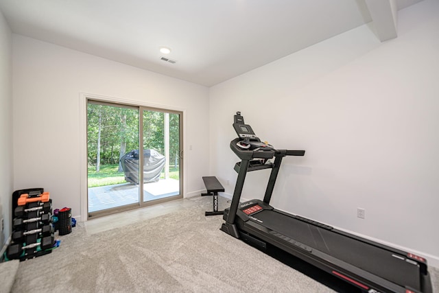 exercise area featuring light colored carpet