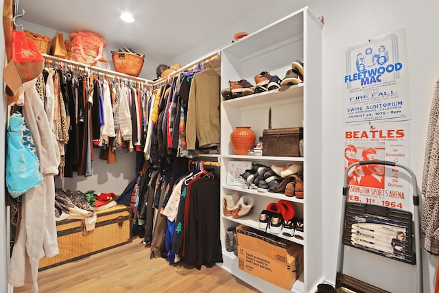 walk in closet with wood-type flooring