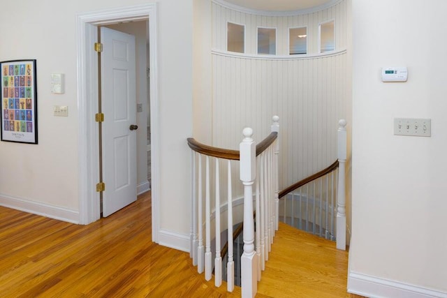 stairway featuring wood-type flooring