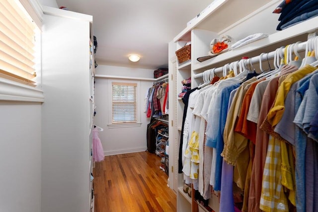 walk in closet with hardwood / wood-style floors