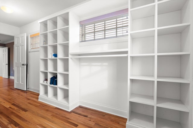 walk in closet featuring hardwood / wood-style flooring