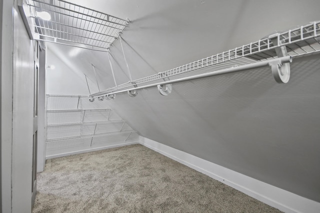 walk in closet featuring carpet flooring