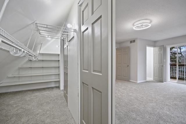 walk in closet with light colored carpet