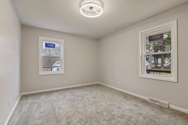 spare room with carpet flooring, a textured ceiling, and plenty of natural light