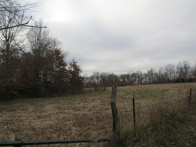 view of yard with a rural view