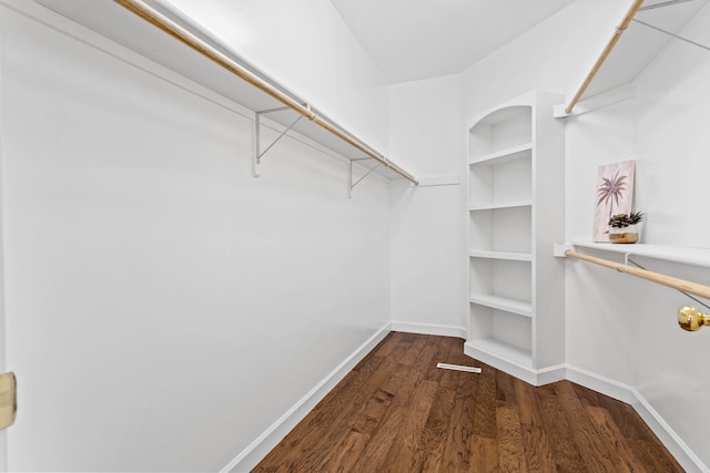 spacious closet featuring wood finished floors