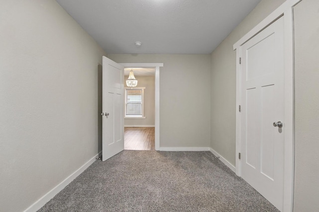 interior space featuring carpet and a closet