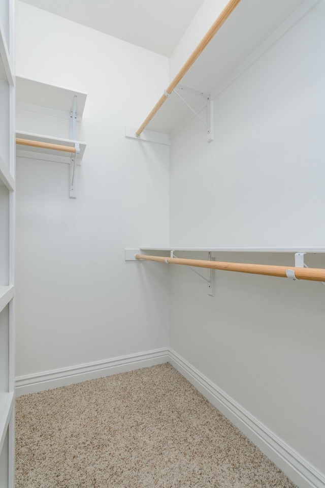 walk in closet featuring carpet