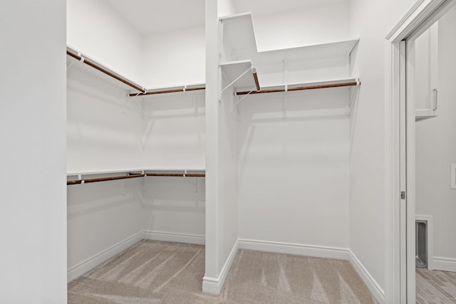 walk in closet featuring light colored carpet