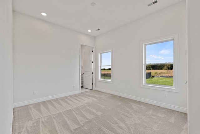 empty room featuring a wealth of natural light and light colored carpet