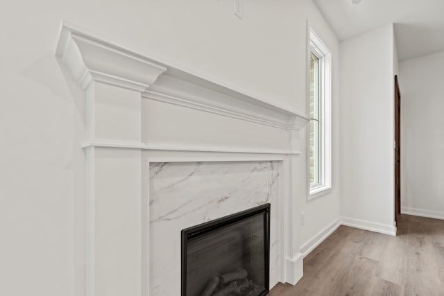 interior details with hardwood / wood-style flooring and a high end fireplace