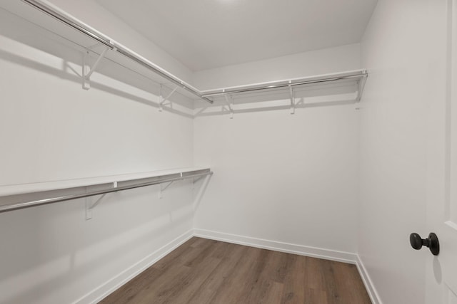 spacious closet with dark wood-type flooring