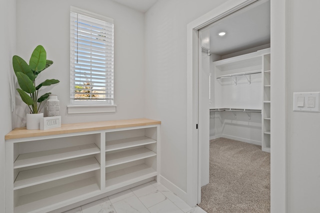 spacious closet with light colored carpet