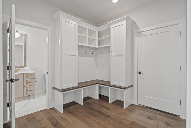 mudroom with dark wood-type flooring