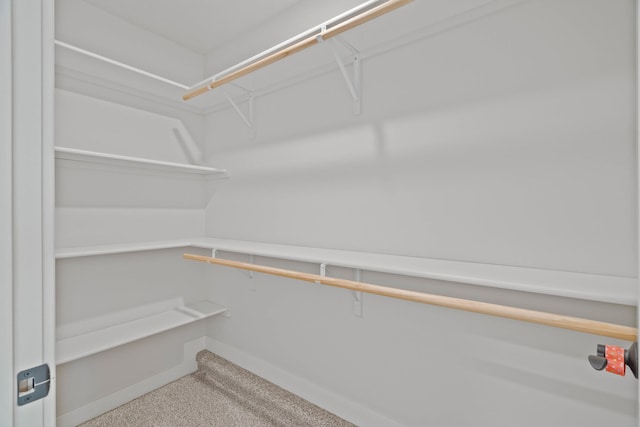 walk in closet with carpet flooring